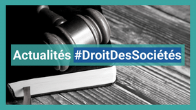 DCG 2 - Droit Des Sociétés Et Des Groupements D'affaires : Manuel Et ...